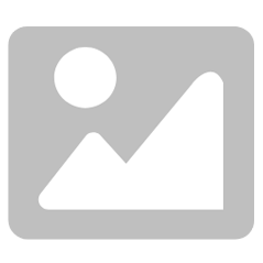 关于为什么要选择 VIP 服务模式